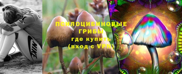 СК Балахна